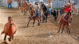 Charros in Texas thrive on tradition family competition [upl. by Arin]