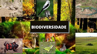 Biodiversidade  Documentário [upl. by Nirad311]