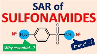 Structural Activity Relationship SAR of Sulfonamides [upl. by Sairacaz781]