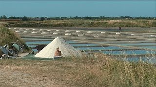 Le Pouliguen réhabilite ses salines [upl. by Layne]