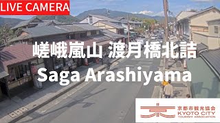 【LIVE】京都 嵯峨嵐山 渡月橋北詰ライブ中継カメラ（京都市観光協会公式）／Saga Arashiyama Kyoto Live camera [upl. by Assed]