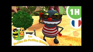 DRÔLES DE PETITES BÊTES  1 Heure  Compilation 04 [upl. by Lledal]