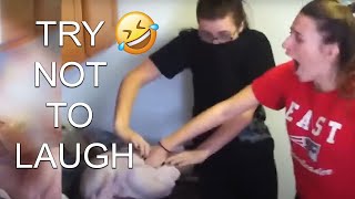 2 HOUR Try Not To Laugh Challenge 😂 Funniest Fails of the Week  AFV 2022 [upl. by Waverley]