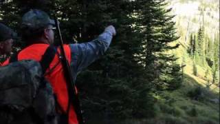 Swan Mountain Outfitters Hunting [upl. by Eicart]