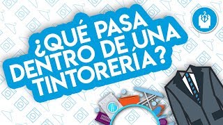 ¿Qué pasa dentro de una tintorería [upl. by Zennas]