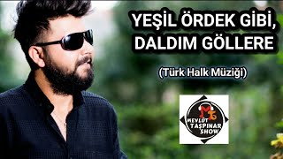 Yeşil Ördek Gibi Daldım Göllere  MEVLÜT TAŞPINAR [upl. by Luhe]