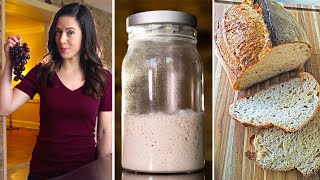 Sourdough Starter EVERYTHING You Need to Know [upl. by Brag]