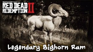 How To Kill The Legendary Bighorn Ram  Red Dead Redemption 2 [upl. by Boony]