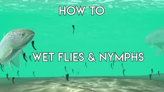 Using Wet Flies amp Nymphs  How To [upl. by Cam]