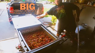 The Largest Crawfish of the Season Cooked to Perfection [upl. by Letty]