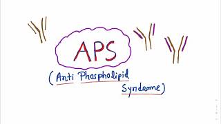 Antiphospholipid Syndrome APS antiphospholipidsyndrome immunology recurrentthrombosis CAPS [upl. by Aihsenal]