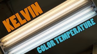 Light Bulb Color Temperature  WHAT ARE KELVINS 2700K 3000K 5000K [upl. by Ranger]