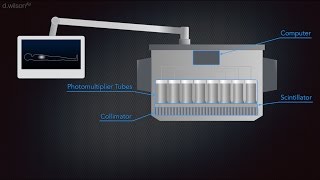 Gamma Camera Animation [upl. by Htide]