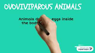 Oviparous viviparous and ovoviviparous animals [upl. by Adnuahs50]