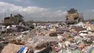 Tossed Out Food Waste in America [upl. by Nodnas460]