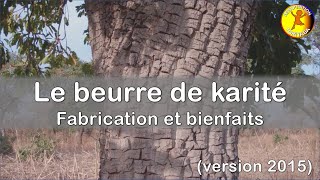 Le beurre de karité bienfaits fabrication qualité utilisation alimentaire [upl. by Hedvig]