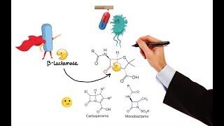 Pharmacology – ANTIBIOTICS – CELL WALL amp MEMBRANE INHIBITORS MADE EASY [upl. by Ollopa844]