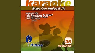 Las Mañanitas Karaoke Version [upl. by Haslam]