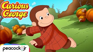 Georges Spooky Halloween  CURIOUS GEORGE [upl. by Eseer186]