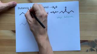 Butanoic Acid  Ethanol  Ester Reaction with Mechanism [upl. by Ilah]