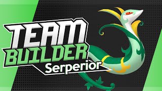 Pokémon Team Builder Reimagined  Best Serperior Team  Black amp White [upl. by Dominica]