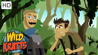 WILD KRATTS  Hiding From A TIGER  Nature [upl. by Isiahi805]