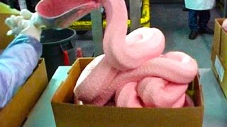 Pink Slime In McDonalds Burgers [upl. by Arihat]