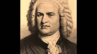 Johann Sebastian Bach  Tocata y fuga en re menor BWV 565 [upl. by Ahsilet]