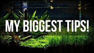 Planted Aquariums for Beginners  My Biggest Tips [upl. by Aissirac]