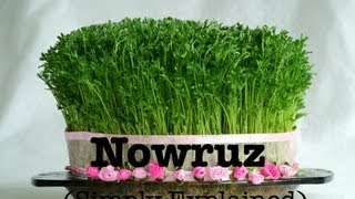 Nowruz Simply Explained نوروز [upl. by Kylie109]