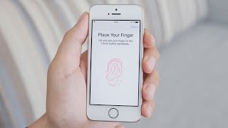 How Does Fingerprint Scanning Work [upl. by Dnomyad]