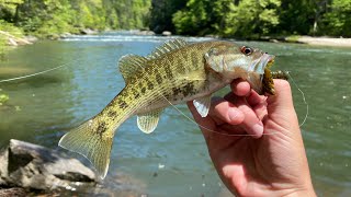 Fishing for Bartram’s Bass in North Georgia [upl. by Mateya]