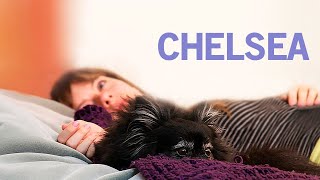 Chelsea  POLSKI LEKTOR  Darmowy Film Fabularny  Cały Film  Polish Voiceover  Dramat [upl. by Schwejda791]