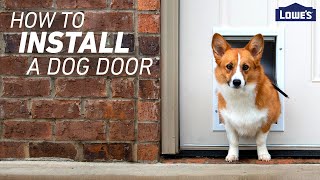 How To Install a Dog Door [upl. by Mitzi]