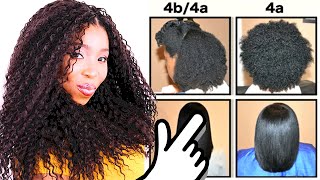 Natural Hair Types EXPLAINED In Detail w PICTURES 4C 4B amp 4A HAIR CHART [upl. by Modla]