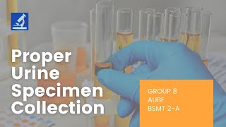 GROUP 8 AUBF BSMT 2A Proper Urine Specimen Collection [upl. by Eizle]