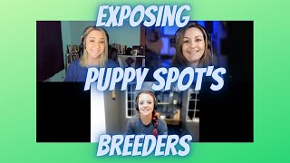 Ep 36 Buyer Beware PuppySpot [upl. by Magel]