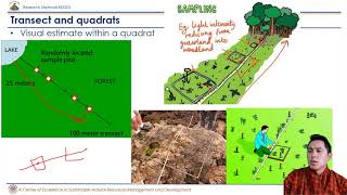 Sampling Units in Ecology Transect and Quadrats [upl. by Murrah]