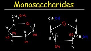 Monosaccharides  Glucose Fructose Galactose amp Ribose  Carbohydrates [upl. by Anselm]