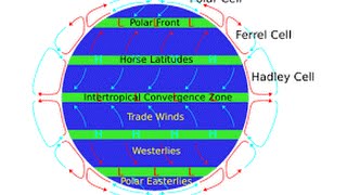 Trade Winds easily explained [upl. by Shamrao]