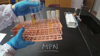 Most Probable Number MPN  Microbiology [upl. by Needan699]