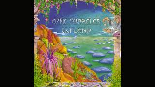 Ozric Tentacles  Erpland Full Album [upl. by Beera]