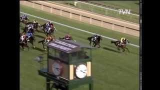 Northerly 2002  Golden Caulfield Cup Moments [upl. by Chernow]