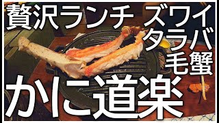 【かに道楽】かに食べ比べズワイ蟹・タラバ蟹・毛蟹kanidouraku [upl. by Grof449]