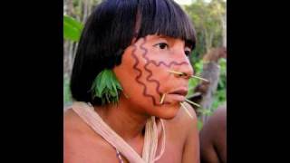 Tribes of the Amazon Rainforest  Yanomami Yekuana and Piaroa [upl. by Hanafee]