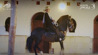 El Mejor Caballo  Yeison Jiménez Video Oficial [upl. by Baynebridge]