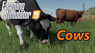 Farming Simulator 19 Tutorial  Cows [upl. by Scharff]