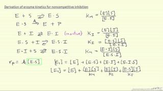 Derivation of Enzyme Kinetics for Noncompetitive Inhibition [upl. by Yevi644]