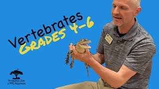 Vertebrates Grades 46 Education Video Series [upl. by Donelu]