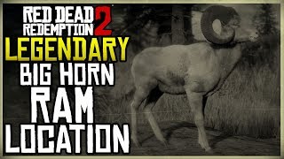 WHERE TO FIND THE LEGENDARY RAM LOCATION  HUNT  RED DEAD REDEMPTION 2 [upl. by Anoy]